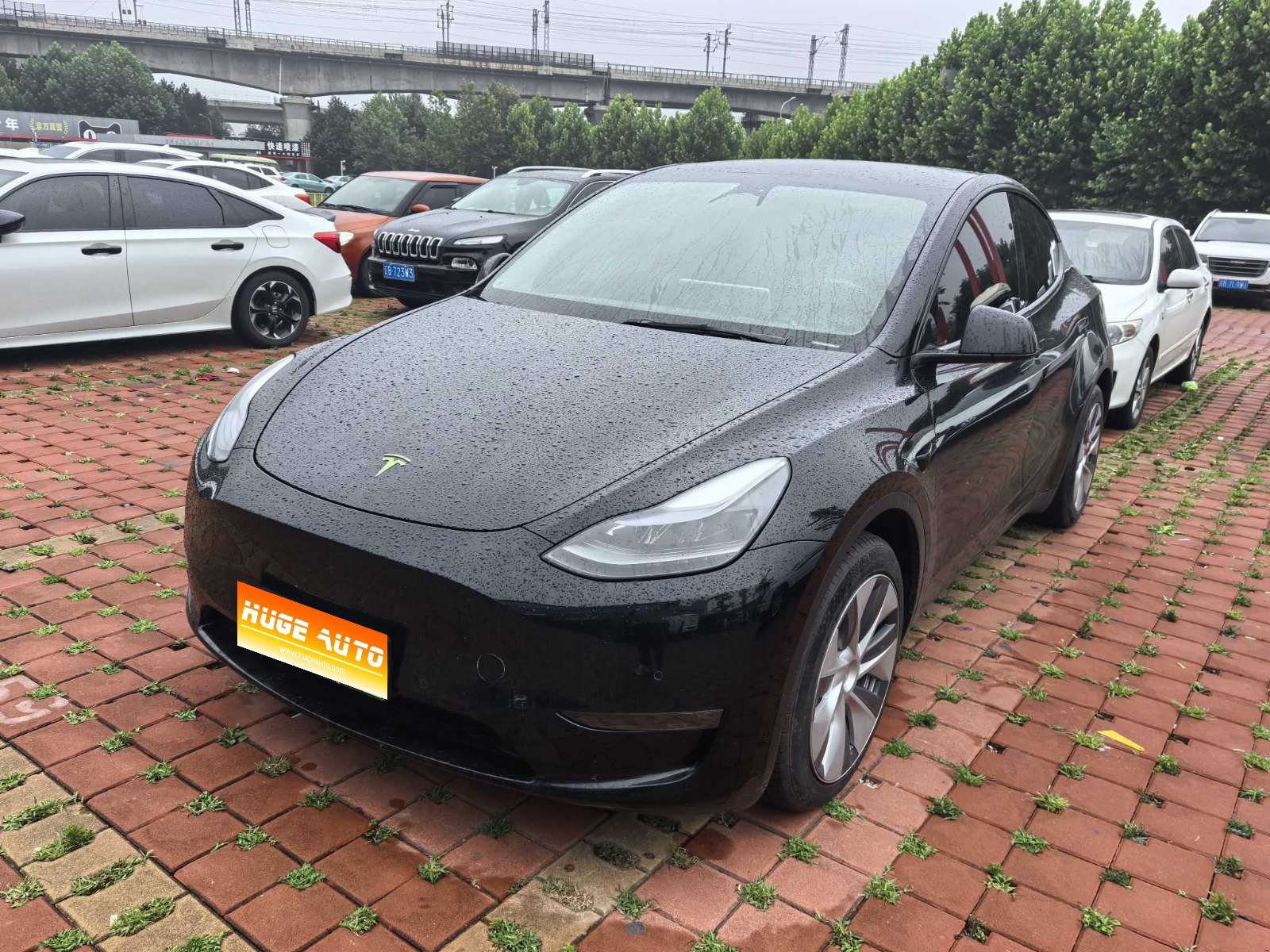 MY2021 Model Y Standard Range RWD 