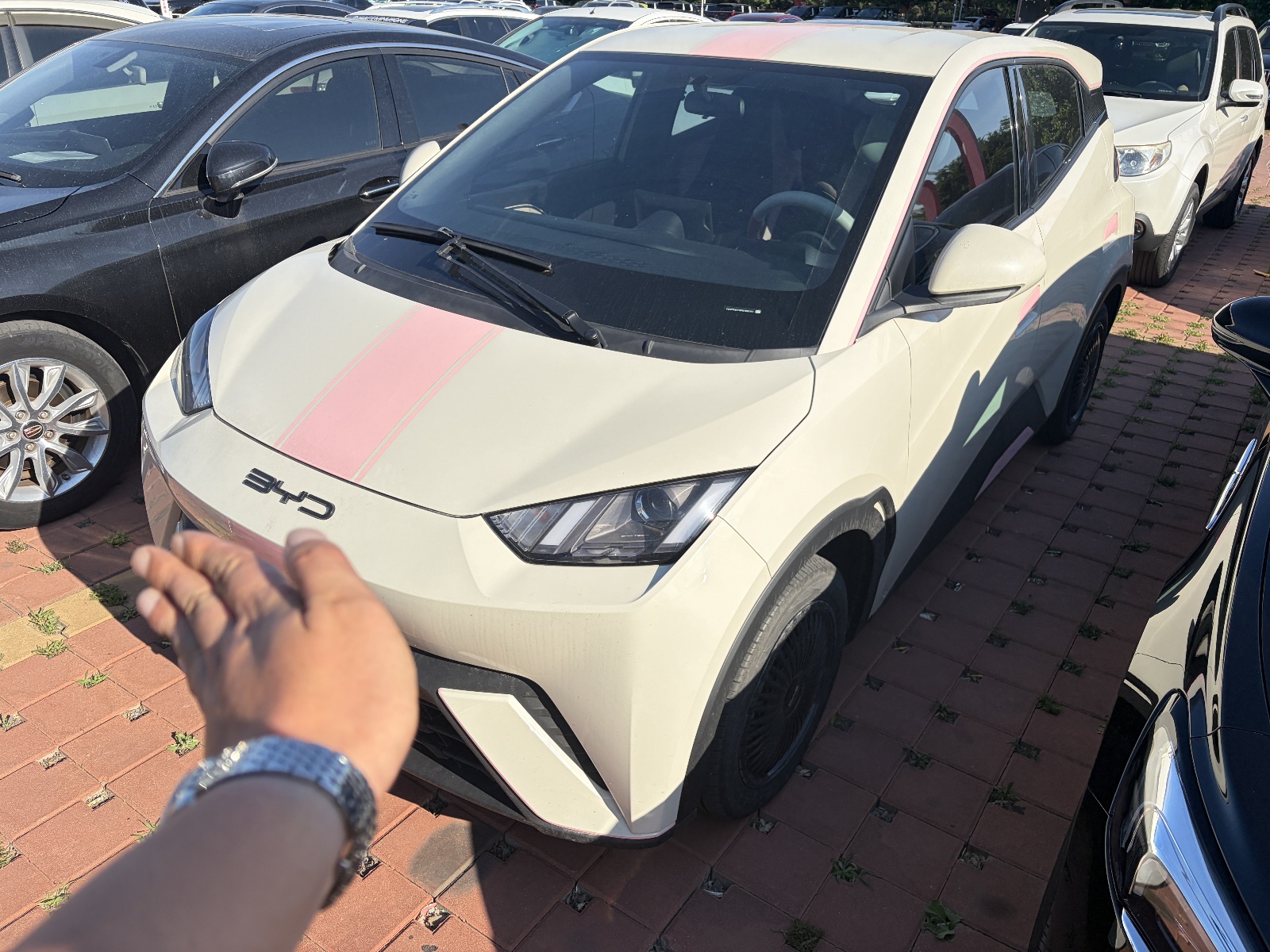 MY2023 Seagull Vitality