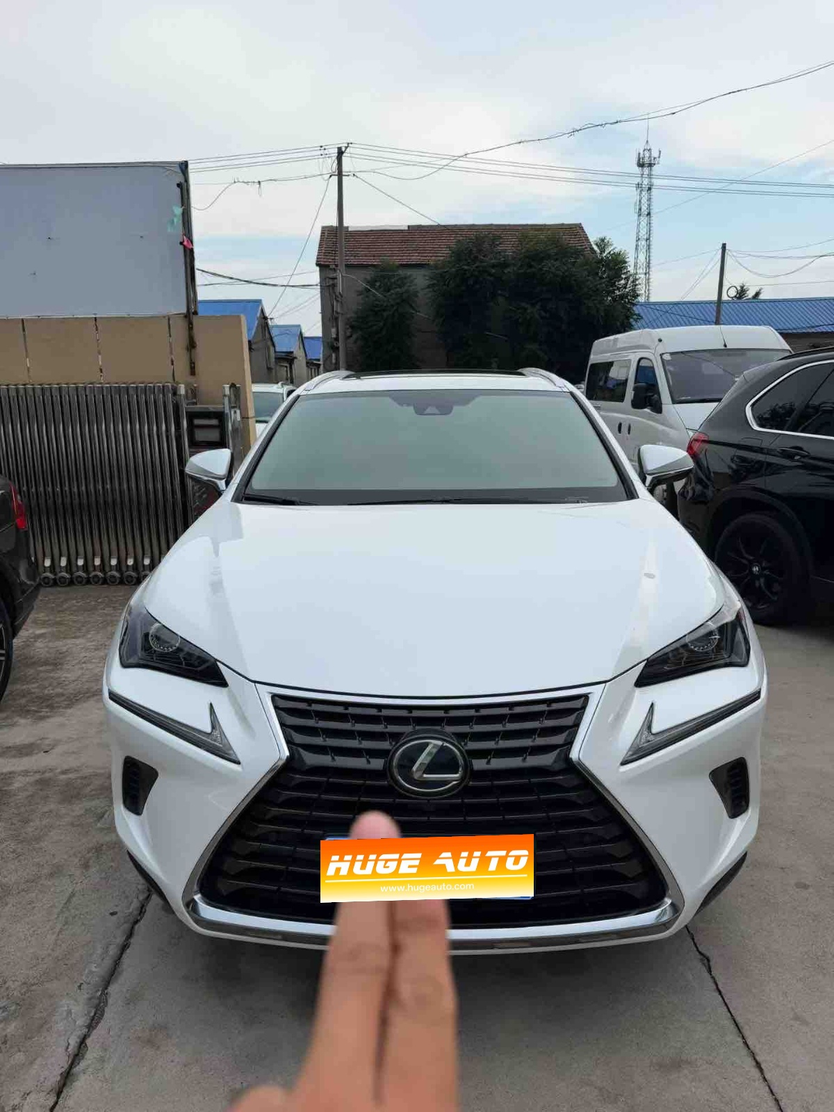 MY2020 Lexus NX 300h FWD Vanguard Version National V 