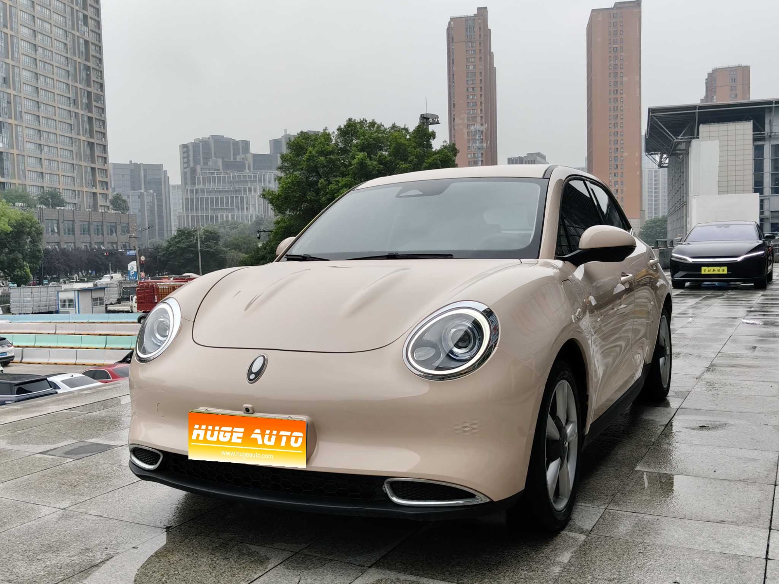 MY2021 Ora 03 400km Standard Range Muse Version Lithium iron phosphate