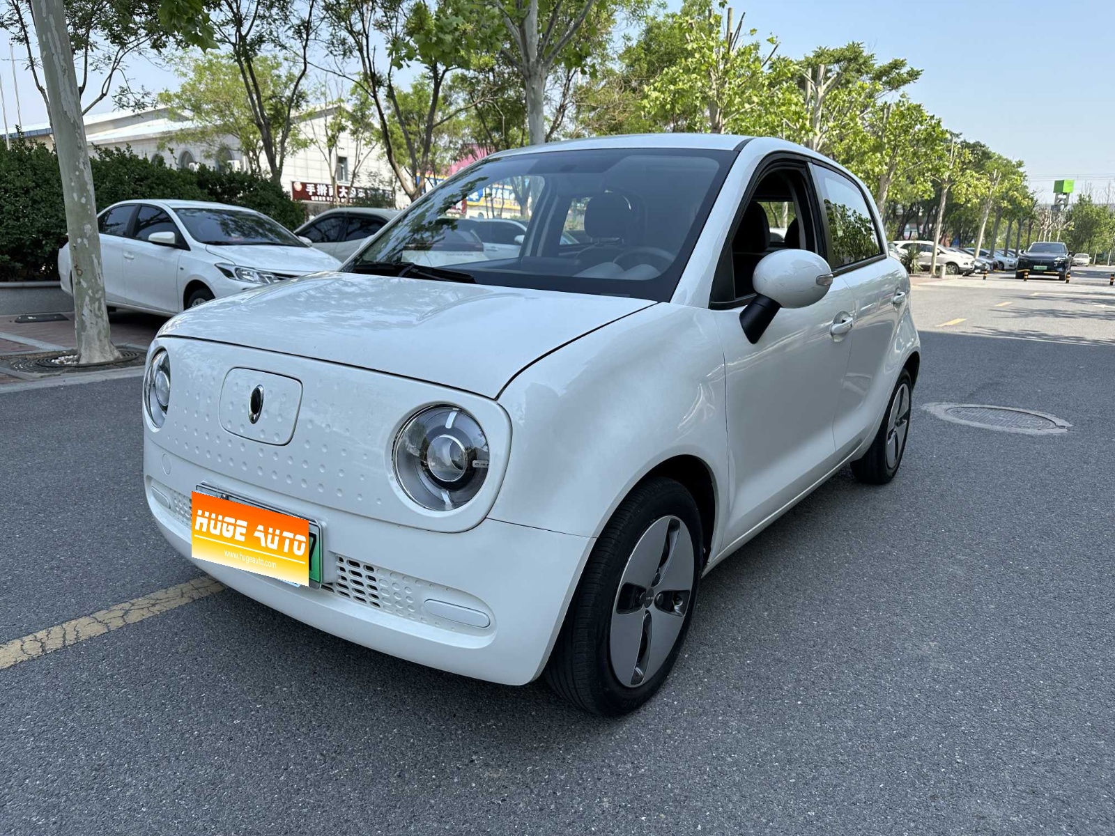 2019款 欧拉黑猫 310km 灵趣版