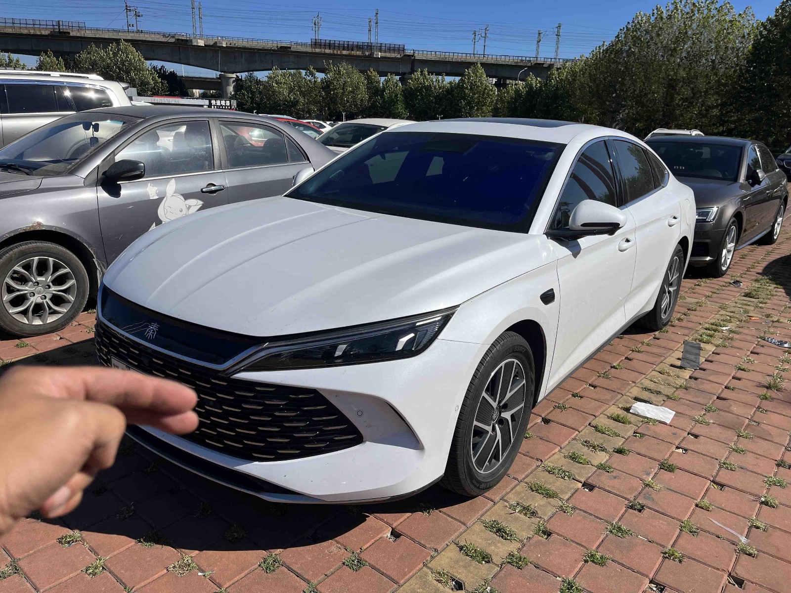 MY2025 Qin L DM-i i-Drive 120KM Exceed