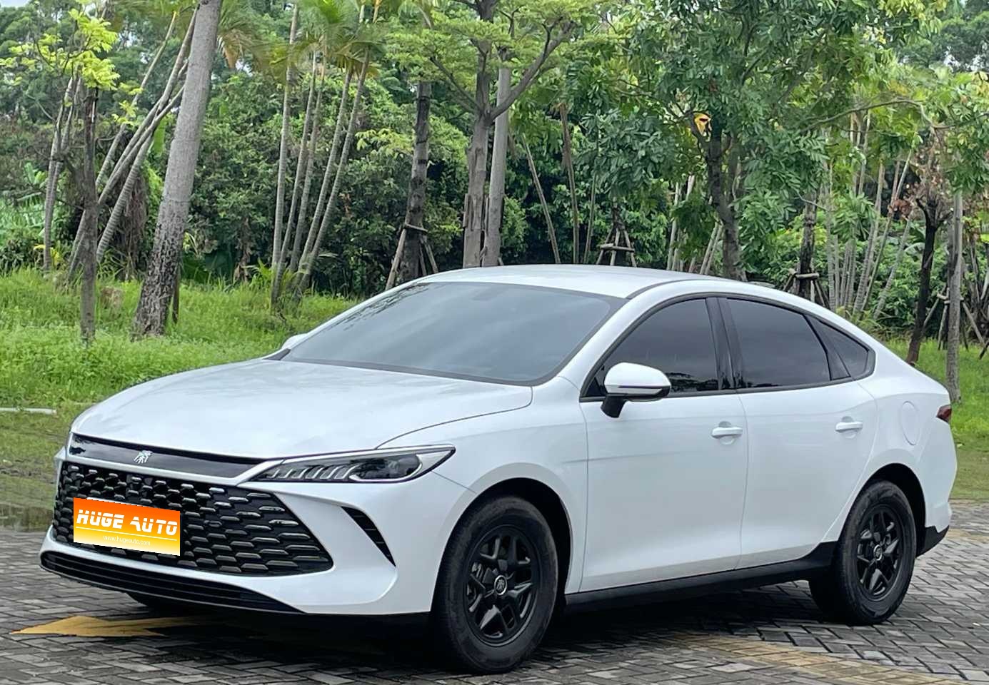 MY2025 Qin PLUS DM-i i-Drive 55KM Lead