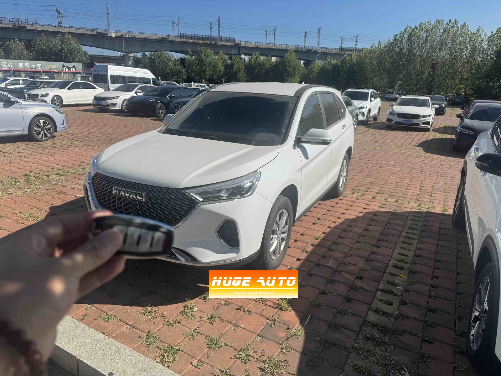 2023款 哈弗M6 PLUS 1.5T 手动精英智联型