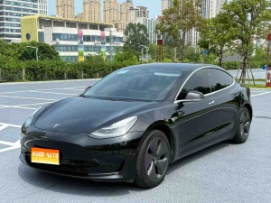 2020款 Model 3 标准续航后驱升级版