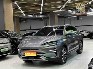 MY2024 Song PLUS Honor DM-i 110km Flagship