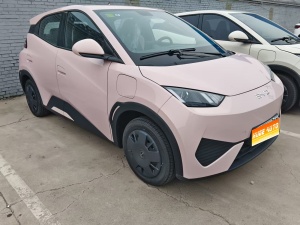 MY2025 Seagull iDrive 305km Vitality