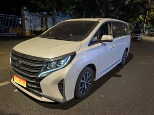 MY2024 Trumpchi M8 Chief 390T Luxury Version