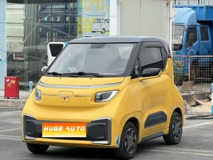 2021款 五菱NanoEV 玩乐款