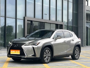 MY2020 Lexus UX NEV 300e Pure Joy