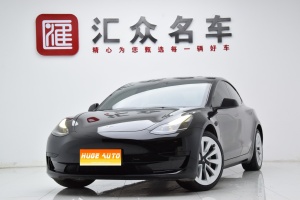MY2021 Model 3 Standard Range RWD Upgraded 3D6