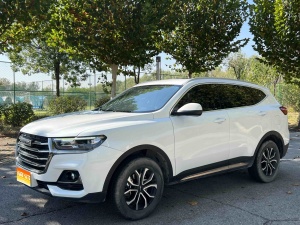 MY2021 Haval H6 China-chic 1.5T AT City Version 