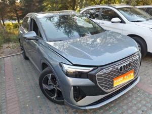 MY2023 AUDI Q4 e-tron 40 e-tron Jing Version