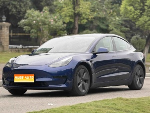 MY2021 Model 3 Standard Range RWD Upgraded 3D6