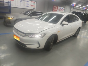 MY2021 Qin PLUS EV 500KM Luxury