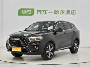 MY2023 Haval H6 China-chic 1.5T AT Champion