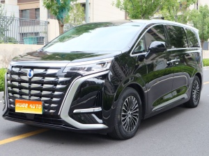 MY2024 DENZA D9 DM-i 980 4WD Flagship