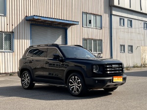 MY2022 Haval Dargo 1.5T DCT 2WD Border Collie