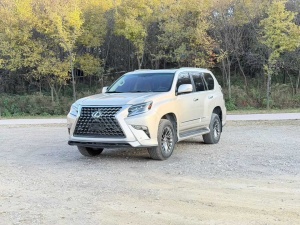 MY2010  Lexus GX 460