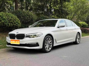 MY2018 BMW 5 Series 528Li Launch Special Version