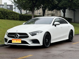 2021款 奔驰CLS级 CLS 300 动感型
