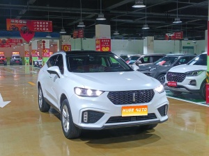 2020款 魏牌 VV5 1.5T 两驱潮先锋