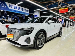 MY2024 AUDI Q5 e-tron 50 e-tron quattro Brilliance Embroidery Suit