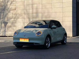 MY2022 Ora 03 400km Standard Range Noble Version Lithium iron phosphate