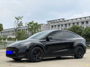 MY2022 Model Y RWD