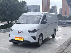 MY2024 Wuling Yangguang 300km Utility Fixed Window 60KW
