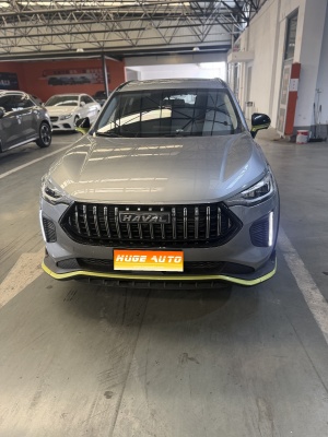 MY2022 Haval Chitu Enjoy 1.5T Copper Rabbit