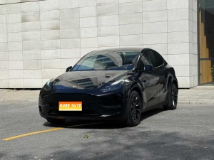 2021款 Model Y 长续航全轮驱动版