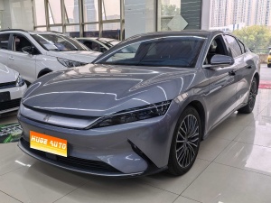 MY2021 HAN EV Basic-range Luxury