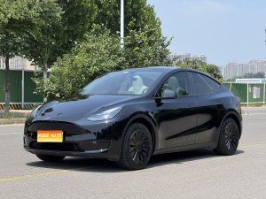 MY2022 Model Y Facelift RWD