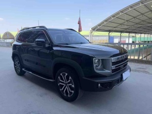 MY2024 Haval Dargo 1.5T DCT Border Collie