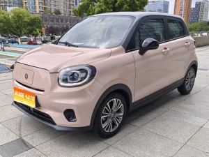 MY2021  Leapmotor T03 400 Luxury