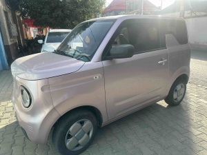 MY2023 Panda mini 200km Stamina Bear