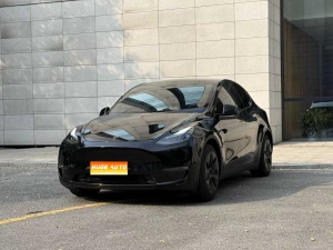 MY2022 Model Y Long Range AWD 