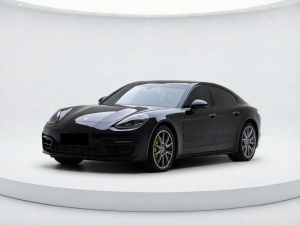 2021款 Panamera新能源 Panamera 4 E-Hybrid 2.9T