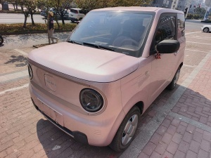 MY2023 Panda mini 200km Stamina Bear