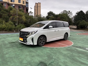 MY2021 Trumpchi M8 Facelift Show Series 390T Luxury Version 