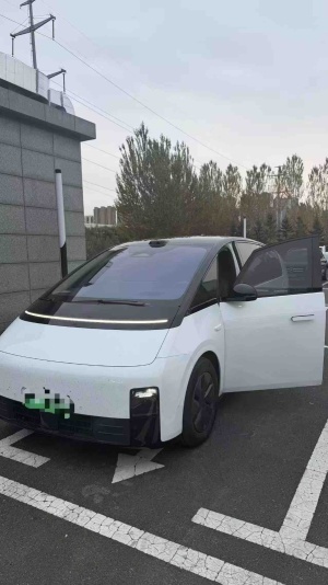 MY2025 Li MEGA Home Family Special