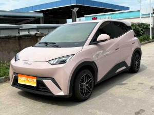 MY2024 Seagull Honor 305km Vitality