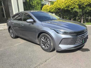 MY2024 Destroyer05 Honor DM-i 55KM Luxury
