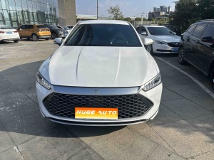 MY2024 Qin PLUS Honor DM-i 55KM Lead