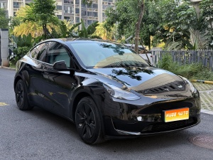 MY2022 Model Y Facelift RWD