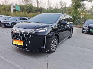 MY2025 BYD M9 1060 Pilot Pro