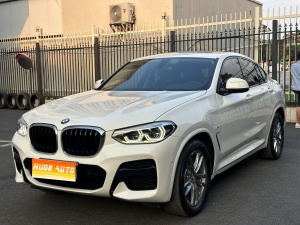 MY2020 BMW X4 xDrive25i M Sport Kit 