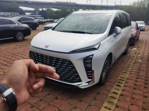 MY2024 Buick GL8 NEV FirstLand Exclusive 7 seats