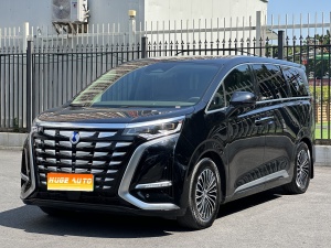 MY2022 DENZA D9 DM-i 970 4WD Honor